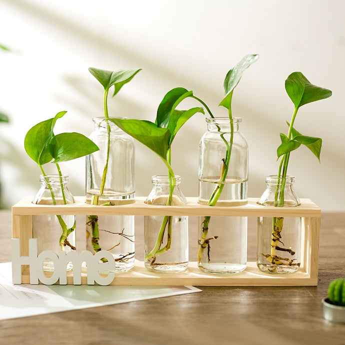 Glass Bottle Transparent Flower Vase - Better Days