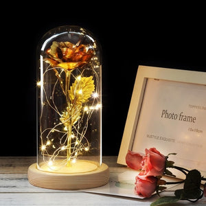 Beauty And The Beast Galaxy Rose In Glass Dome Rose Lamps - Better Days