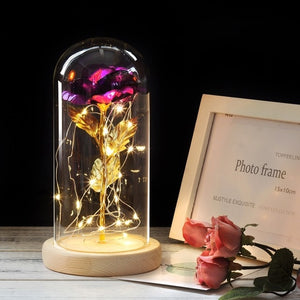 Beauty And The Beast Galaxy Rose In Glass Dome Rose Lamps - Better Days