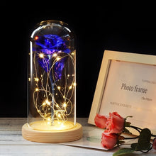 Load image into Gallery viewer, Beauty And The Beast Galaxy Rose In Glass Dome Rose Lamps - Better Days
