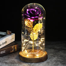 Load image into Gallery viewer, Beauty And The Beast Galaxy Rose In Glass Dome Rose Lamps - Better Days
