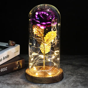 Beauty And The Beast Galaxy Rose In Glass Dome Rose Lamps - Better Days