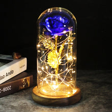 Load image into Gallery viewer, Beauty And The Beast Galaxy Rose In Glass Dome Rose Lamps - Better Days
