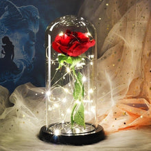 Load image into Gallery viewer, Beauty And The Beast Galaxy Rose In Glass Dome Rose Lamps - Better Days
