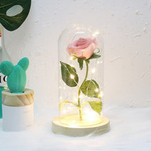 Load image into Gallery viewer, Beauty And The Beast Galaxy Rose In Glass Dome Rose Lamps - Better Days
