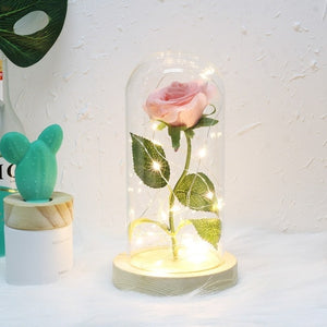 Beauty And The Beast Galaxy Rose In Glass Dome Rose Lamps - Better Days