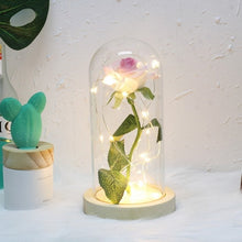 Load image into Gallery viewer, Beauty And The Beast Galaxy Rose In Glass Dome Rose Lamps - Better Days
