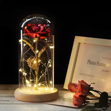 Load image into Gallery viewer, Beauty And The Beast Galaxy Rose In Glass Dome Rose Lamps - Better Days
