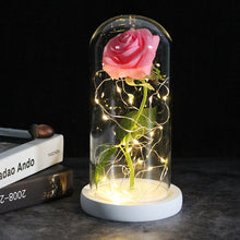 Load image into Gallery viewer, Beauty And The Beast Galaxy Rose In Glass Dome Rose Lamps - Better Days
