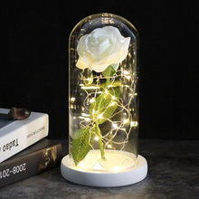 Load image into Gallery viewer, Beauty And The Beast Galaxy Rose In Glass Dome Rose Lamps - Better Days
