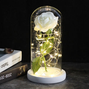 Beauty And The Beast Galaxy Rose In Glass Dome Rose Lamps - Better Days