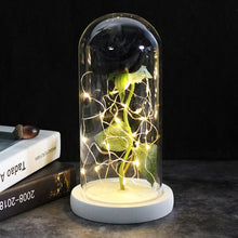 Load image into Gallery viewer, Beauty And The Beast Galaxy Rose In Glass Dome Rose Lamps - Better Days
