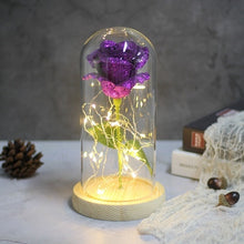 Load image into Gallery viewer, Beauty And The Beast Galaxy Rose In Glass Dome Rose Lamps - Better Days
