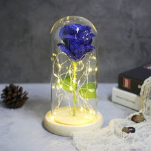 Load image into Gallery viewer, Beauty And The Beast Galaxy Rose In Glass Dome Rose Lamps - Better Days
