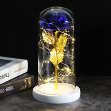 Load image into Gallery viewer, Beauty And The Beast Galaxy Rose In Glass Dome Rose Lamps - Better Days
